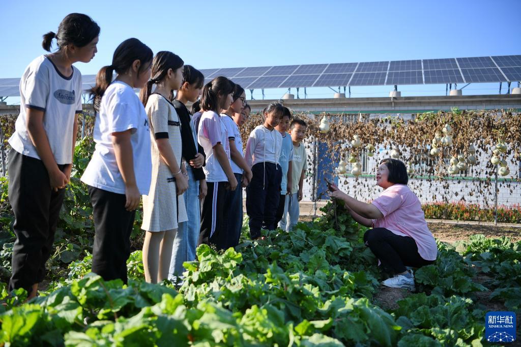 血拼牛牛下载